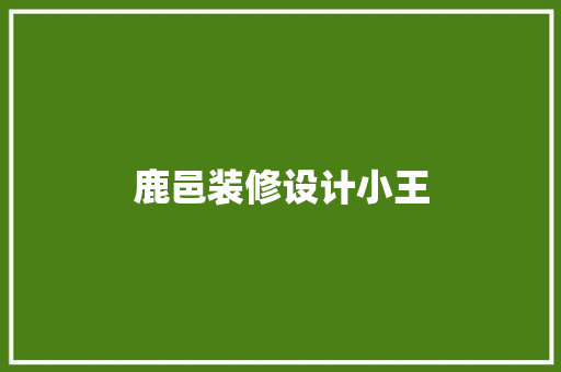 鹿邑装修设计小王