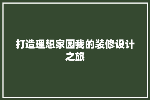 打造理想家园我的装修设计之旅