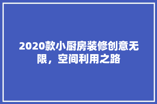 2020款小厨房装修创意无限，空间利用之路