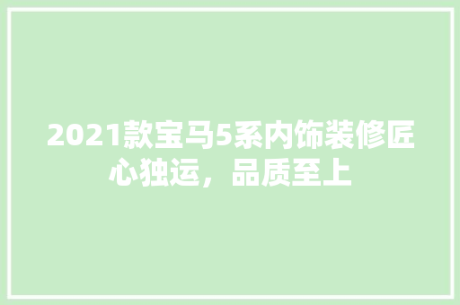 2021款宝马5系内饰装修匠心独运，品质至上