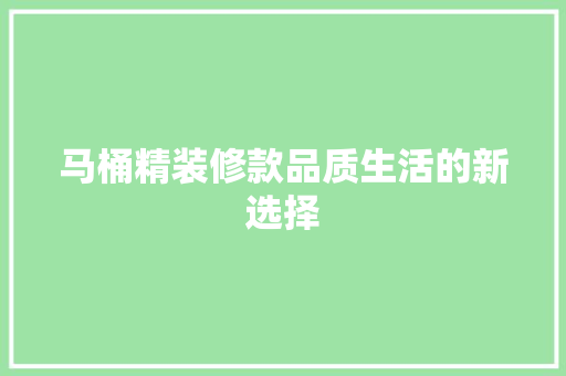 马桶精装修款品质生活的新选择