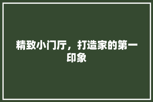 精致小门厅，打造家的第一印象  第1张