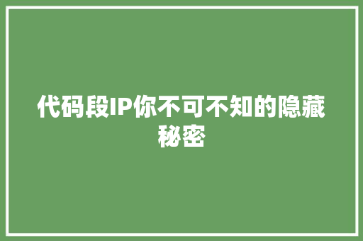代码段IP你不可不知的隐藏秘密