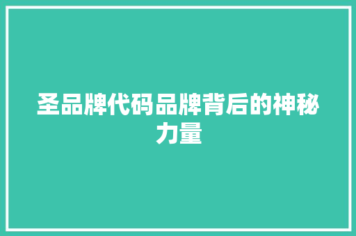 圣品牌代码品牌背后的神秘力量