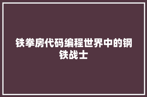 铁拳房代码编程世界中的钢铁战士