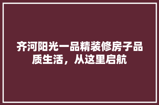 齐河阳光一品精装修房子品质生活，从这里启航  第1张