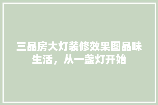 三品房大灯装修效果图品味生活，从一盏灯开始