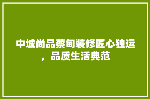 中城尚品蔡甸装修匠心独运，品质生活典范