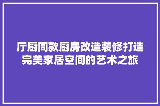 厅厨同款厨房改造装修打造完美家居空间的艺术之旅