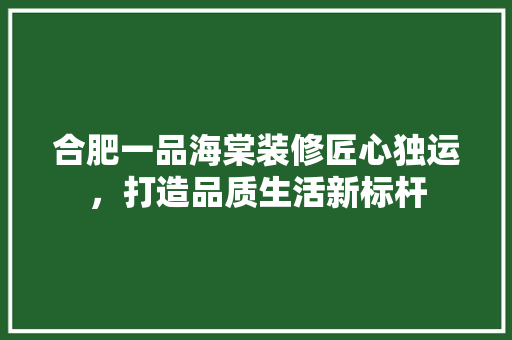 合肥一品海棠装修匠心独运，打造品质生活新标杆