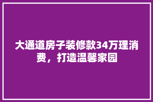 大通道房子装修款34万理消费，打造温馨家园