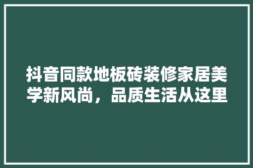 抖音同款地板砖装修家居美学新风尚，品质生活从这里开始