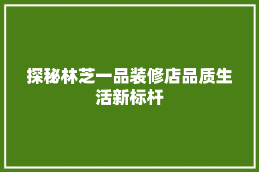 探秘林芝一品装修店品质生活新标杆