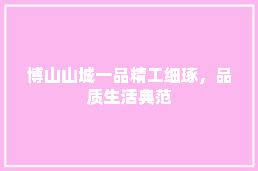 博山山城一品精工细琢，品质生活典范  第1张