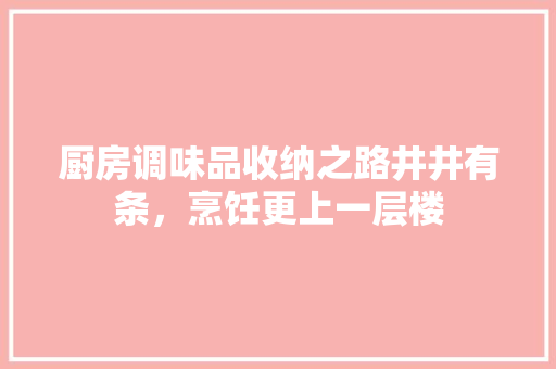 厨房调味品收纳之路井井有条，烹饪更上一层楼
