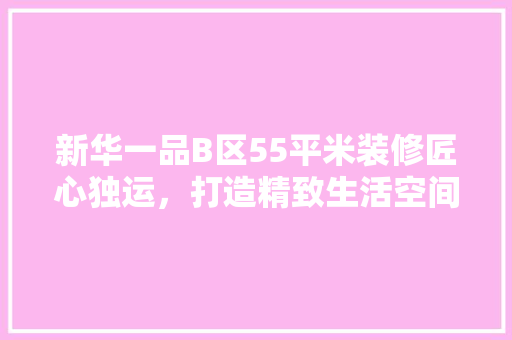 新华一品B区55平米装修匠心独运，打造精致生活空间
