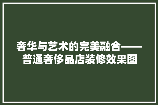奢华与艺术的完美融合——普通奢侈品店装修效果图