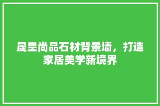 晟皇尚品石材背景墙，打造家居美学新境界
