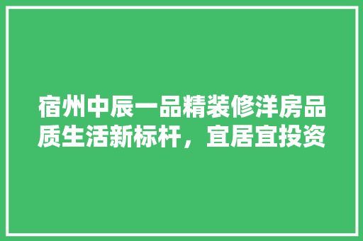 宿州中辰一品精装修洋房品质生活新标杆，宜居宜投资的智慧之选  第1张