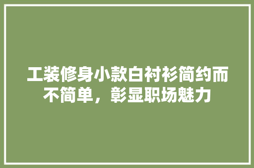 工装修身小款白衬衫简约而不简单，彰显职场魅力  第1张