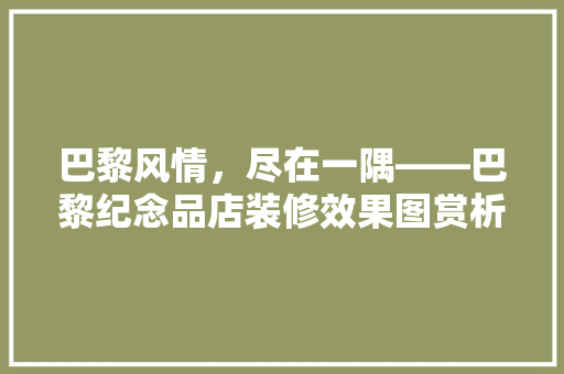 巴黎风情，尽在一隅——巴黎纪念品店装修效果图赏析  第1张