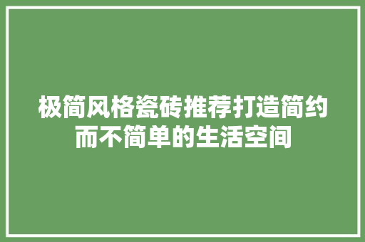 极简风格瓷砖推荐打造简约而不简单的生活空间