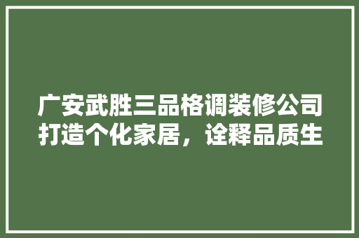 广安武胜三品格调装修公司打造个化家居，诠释品质生活新篇章  第1张