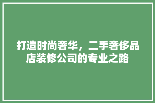 打造时尚奢华，二手奢侈品店装修公司的专业之路