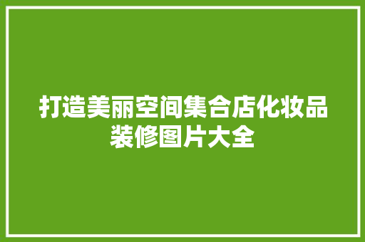 打造美丽空间集合店化妆品装修图片大全