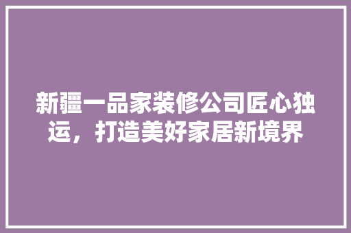 新疆一品家装修公司匠心独运，打造美好家居新境界