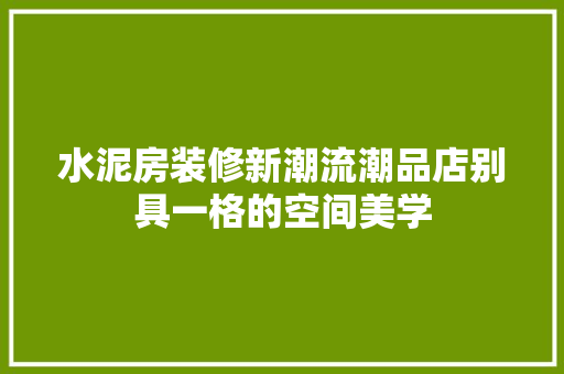 水泥房装修新潮流潮品店别具一格的空间美学