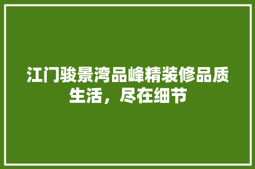 江门骏景湾品峰精装修品质生活，尽在细节