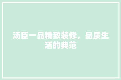 汤臣一品精致装修，品质生活的典范