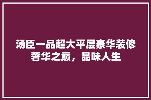汤臣一品超大平层豪华装修奢华之巅，品味人生