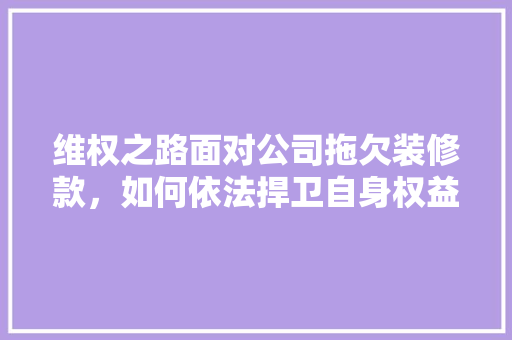 维权之路面对公司拖欠装修款，如何依法捍卫自身权益