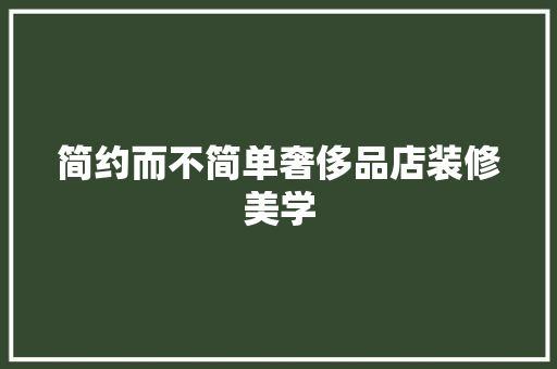 简约而不简单奢侈品店装修美学