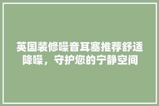英国装修噪音耳塞推荐舒适降噪，守护您的宁静空间