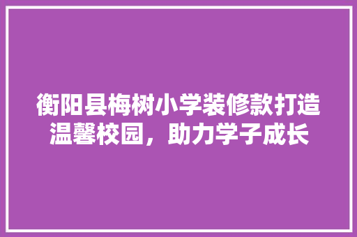 衡阳县梅树小学装修款打造温馨校园，助力学子成长