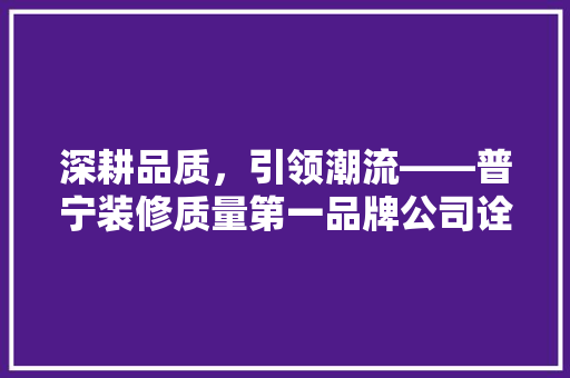 深耕品质，引领潮流——普宁装修质量第一品牌公司诠释家居之美