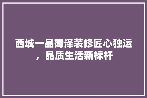 西城一品菏泽装修匠心独运，品质生活新标杆