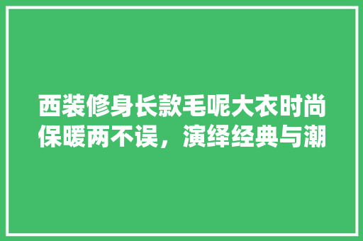 西装修身长款毛呢大衣时尚保暖两不误，演绎经典与潮流的完美融合  第1张