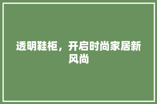 透明鞋柜，开启时尚家居新风尚