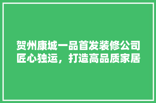 贺州康城一品首发装修公司匠心独运，打造高品质家居典范