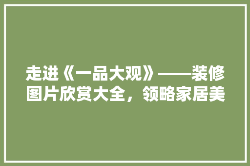 走进《一品大观》——装修图片欣赏大全，领略家居美学之巅