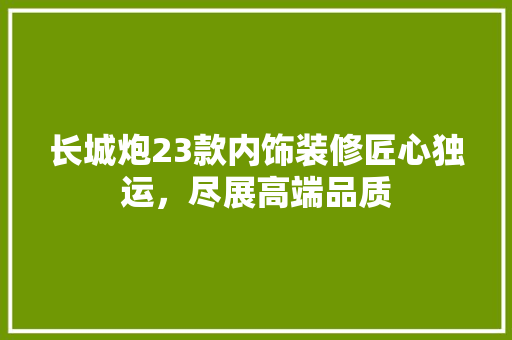 长城炮23款内饰装修匠心独运，尽展高端品质  第1张
