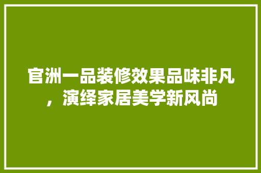 官洲一品装修效果品味非凡，演绎家居美学新风尚
