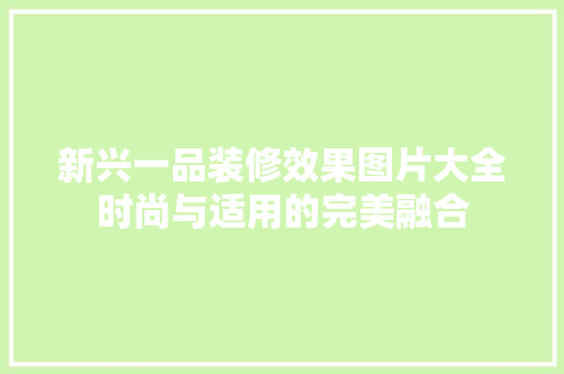 新兴一品装修效果图片大全时尚与适用的完美融合