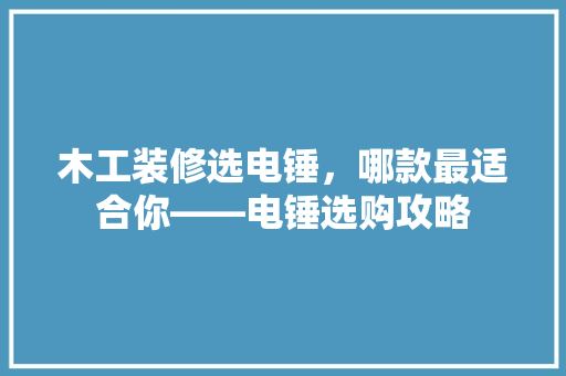 木工装修选电锤，哪款最适合你——电锤选购攻略  第1张
