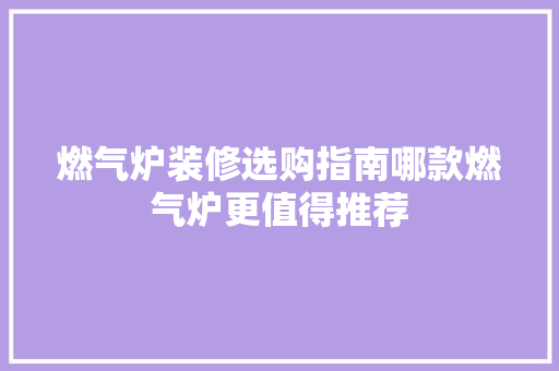 燃气炉装修选购指南哪款燃气炉更值得推荐  第1张