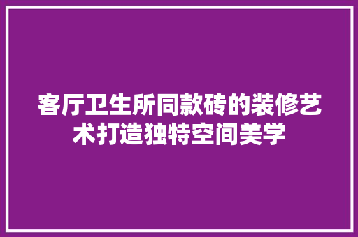 客厅卫生所同款砖的装修艺术打造独特空间美学